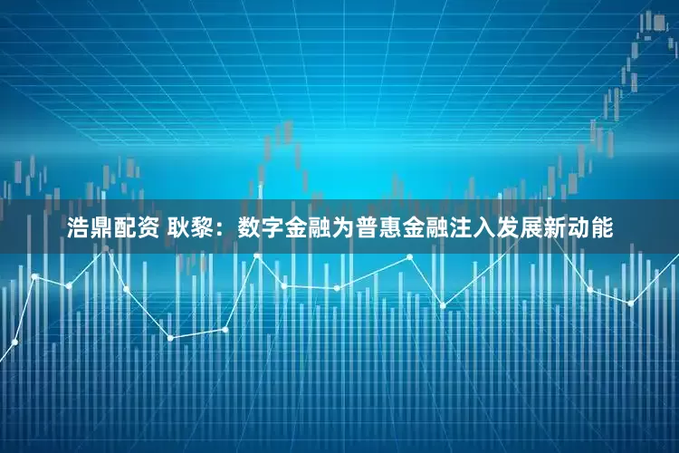 浩鼎配资 耿黎：数字金融为普惠金融注入发展新动能