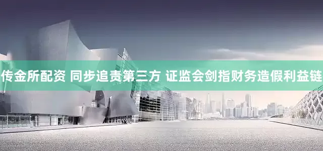 传金所配资 同步追责第三方 证监会剑指财务造假利益链