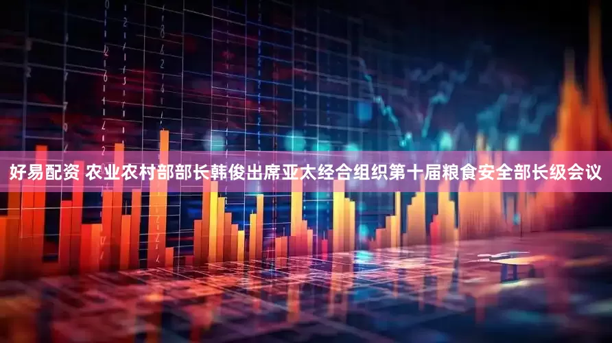 好易配资 农业农村部部长韩俊出席亚太经合组织第十届粮食安全部长级会议