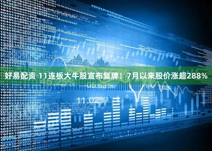 好易配资 11连板大牛股宣布复牌！7月以来股价涨超288%