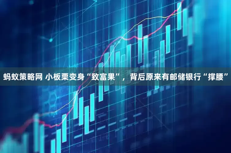 蚂蚁策略网 小板栗变身“致富果”，背后原来有邮储银行“撑腰”