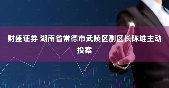 财盛证券 湖南省常德市武陵区副区长陈维主动投案